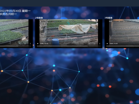 米兰最新网站：关于印发《2026年永嘉县主要农作物统防统治飞防服务作业补贴实施方案》的通知